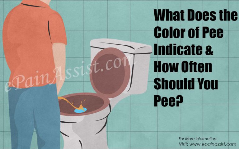 What Does the Color of Pee Indicate & How Often Should You Pee?