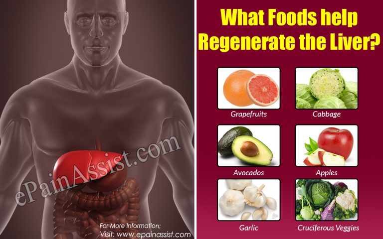 What Foods help regenerate the Liver?