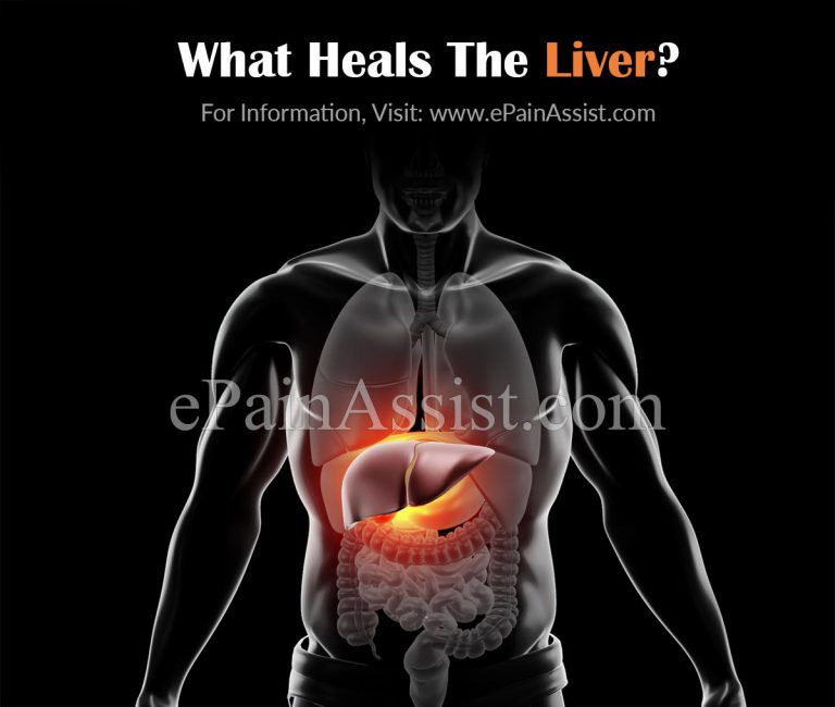 What Heals The Liver?