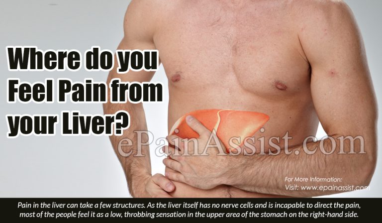 Where do you Feel Pain from your Liver?