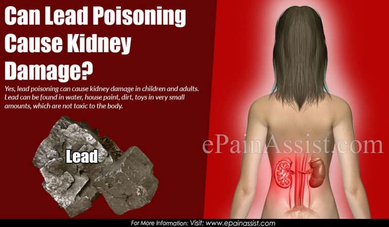 Can Lead Poisoning Cause Kidney Damage?