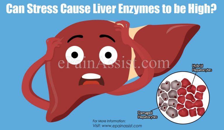 Can Stress Cause Liver Enzymes to be High?