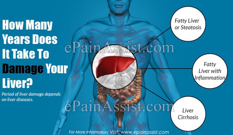 How Many Years Does It Take To Damage Your Liver?