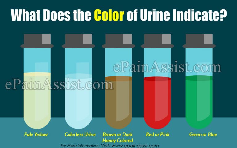 Facts About Urine