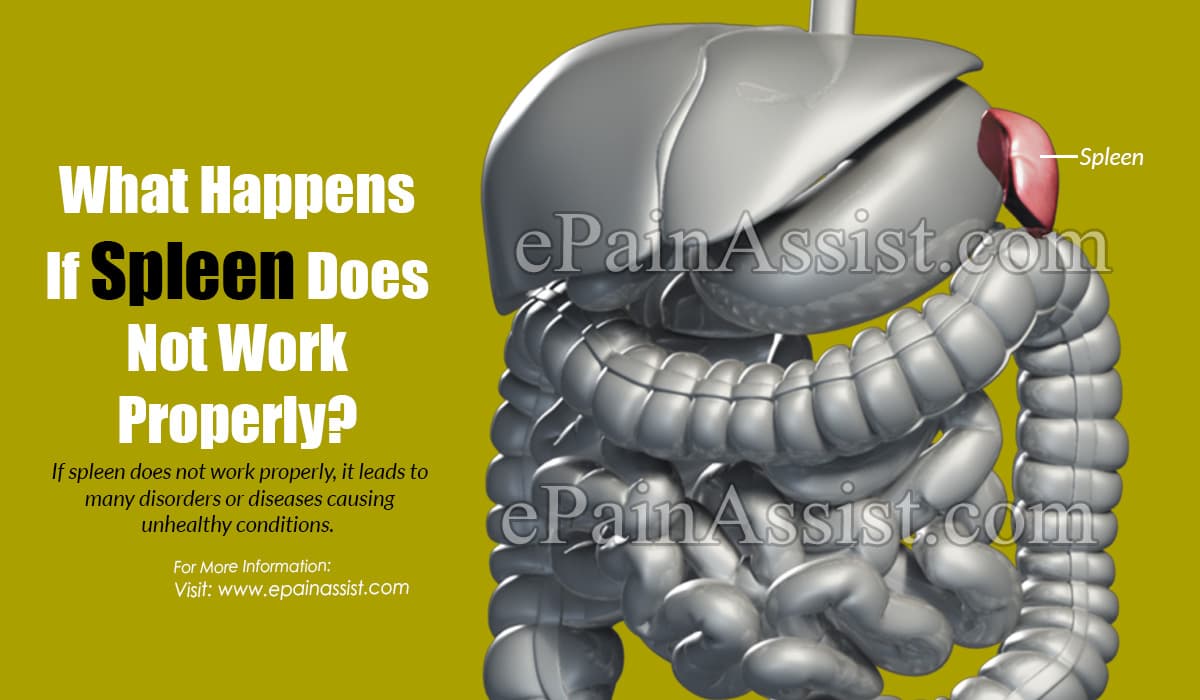 What Happens If Spleen Does Not Work Properly?