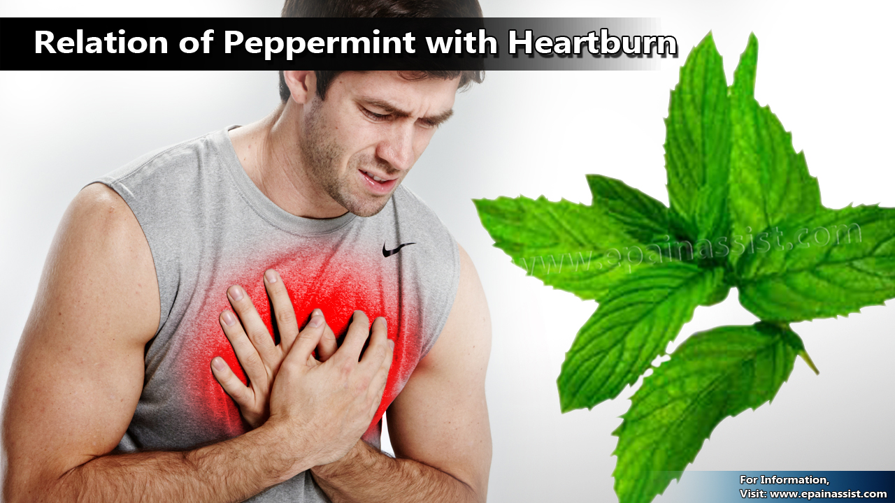 Relation of Peppermint with Heartburn