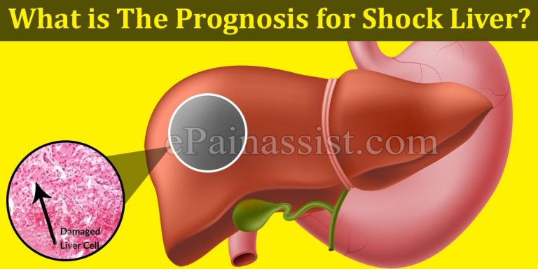 What is The Prognosis for Shock Liver?