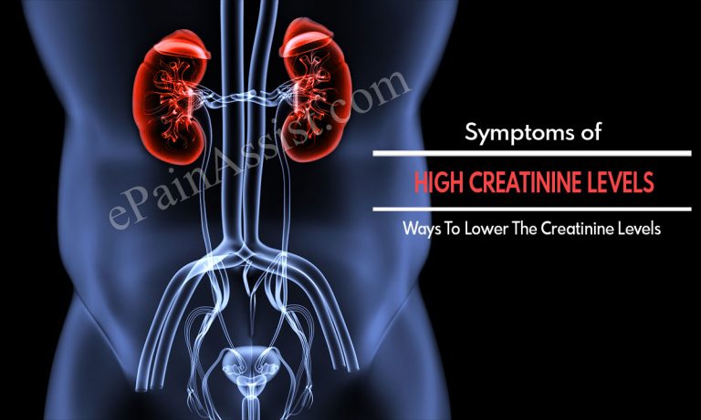 Symptoms of High Creatinine Levels & Ways To Lower The Creatinine Levels