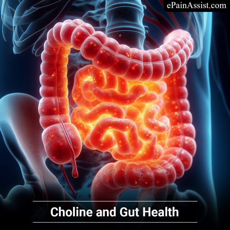 Choline and Gut Health : Exploring the Benefits and Impact on Intestinal Barrier, Microbiome, and Inflammation