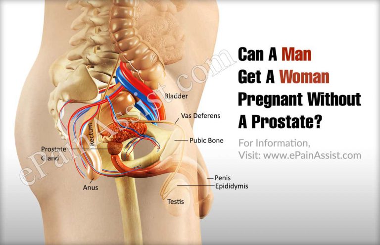 Can A Man Get A Woman Pregnant Without A Prostate?