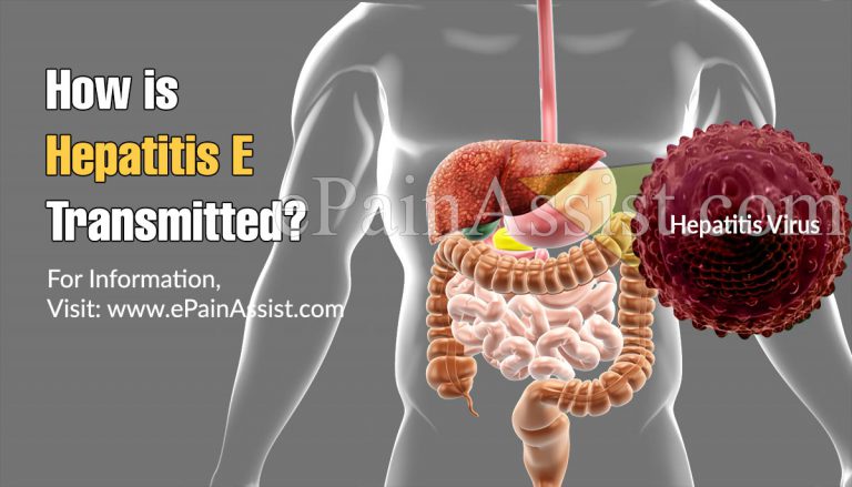 How is Hepatitis E Transmitted?