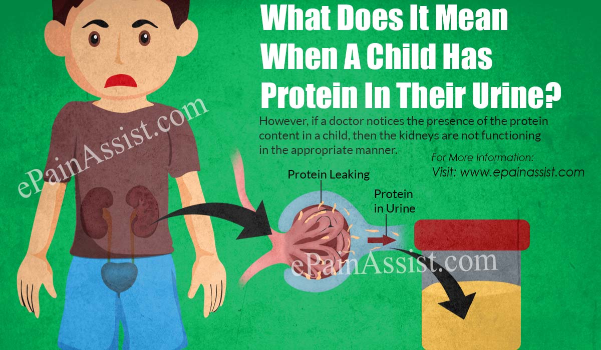 What Does It Mean When A Child Has Protein In Their Urine?