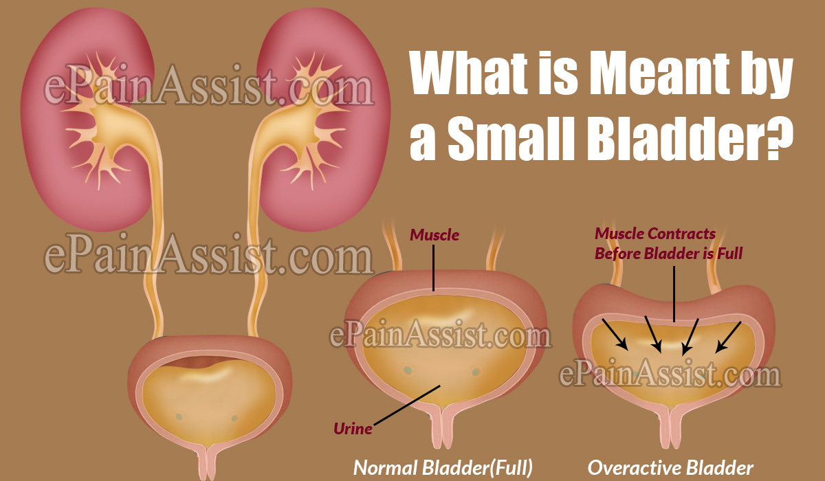 What is Meant by a Small Bladder?