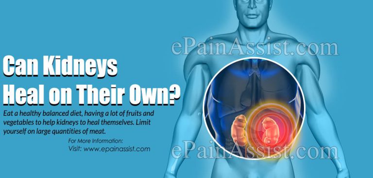 Can Kidneys Heal On Their Own?