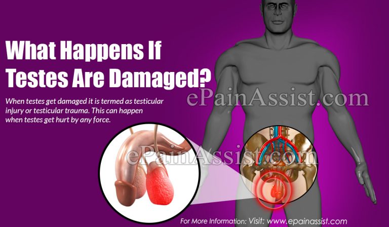 What Happens If Testes Are Damaged?