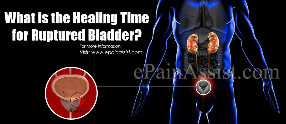 What is the Healing Time for Ruptured Bladder?