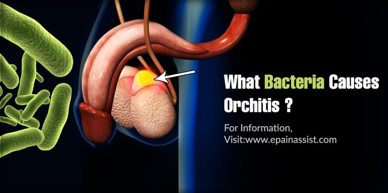 What Bacteria Causes Orchitis & Does It Require Surgery?