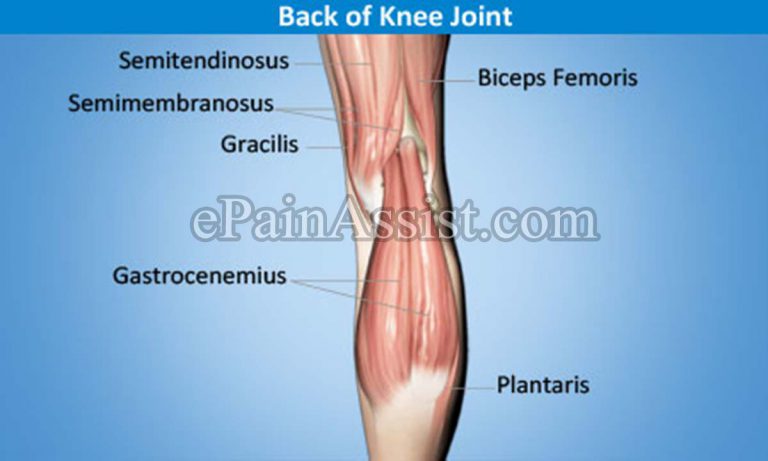 Knee Joint Tendonitis: Types, Symptoms, Treatment- Conservative, NSAIDs, PT, Surgery