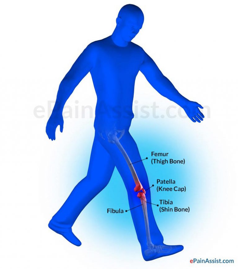 Anatomical Distribution of Knee Joint Pain: Movements, Cartilages, Menisci, Ligaments