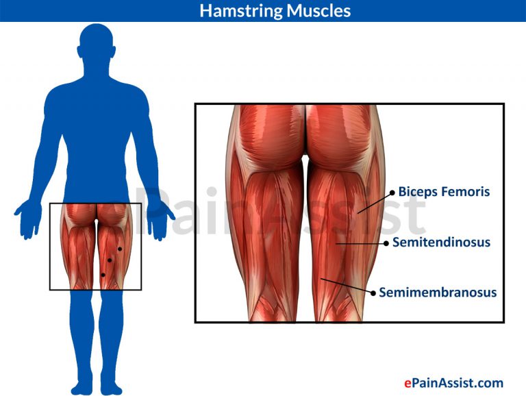 Massage Therapy for Pulled Hamstring or Hamstring Strain: Sports Massage Technique