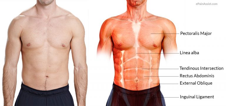 What is Six Pack Abs? 6 Do’s and 6 Dont’s to Get Those 6 Pack Abs