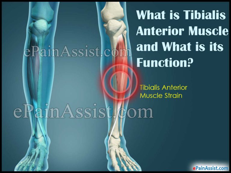 Tibialis Anterior Muscle Strain: Causes, Symptoms, Treatment