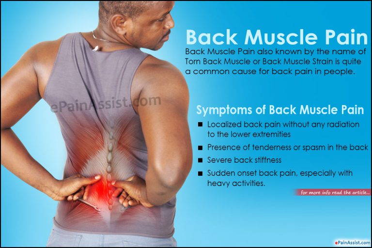 Back Muscle Pain: Causes, Symptoms, Diagnosis, Treatment