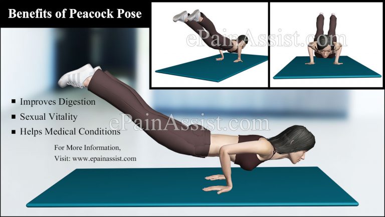 How to do Peacock Pose or Mayurasana & What are its Benefits?