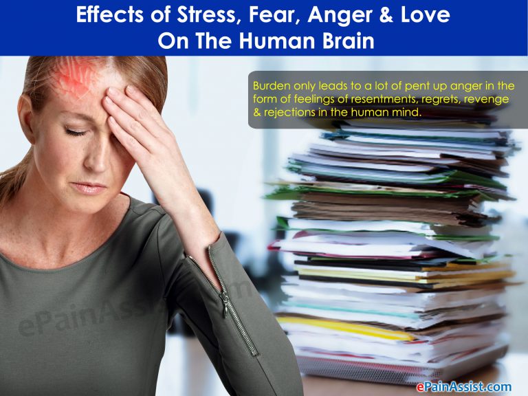 Effects of Stress, Fear, Anger & Love On The Human Brain