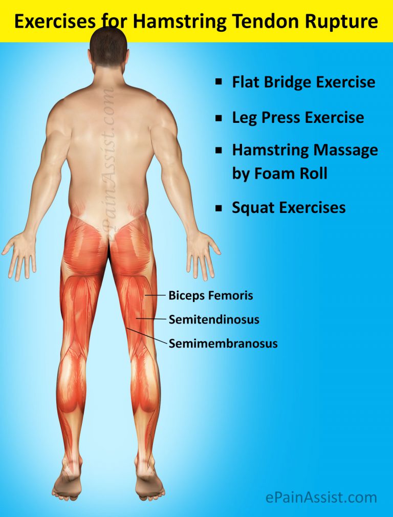 Exercises, Yoga, Recovery Period for Hamstring Tendon Rupture