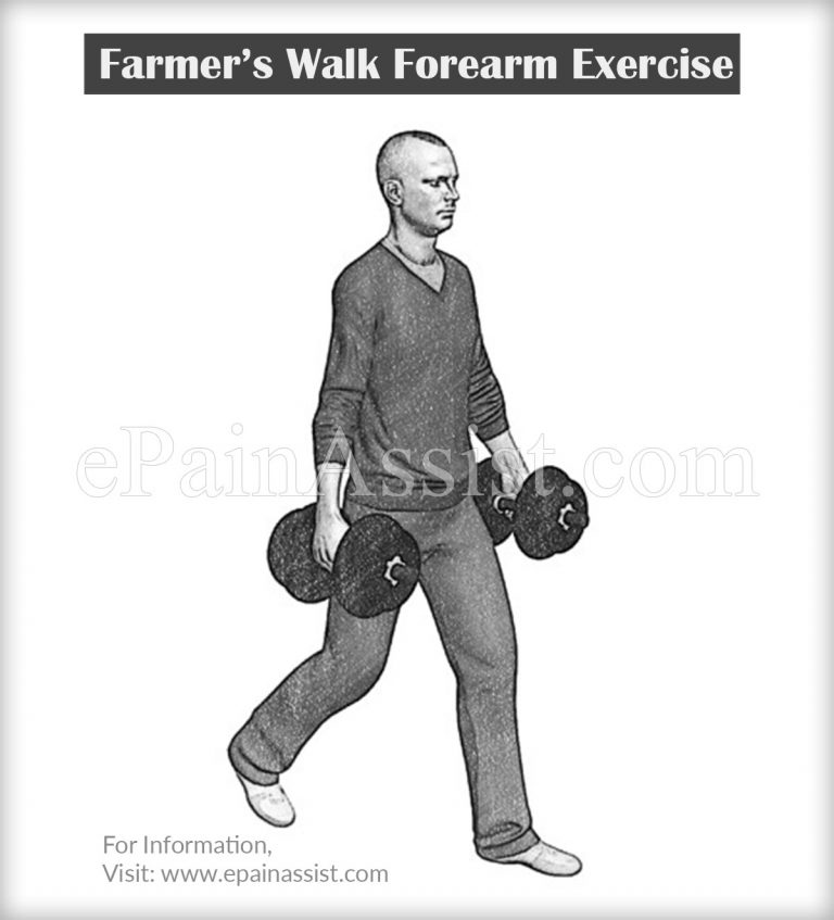 Forearm Exercises: How to Train Your Forearm?