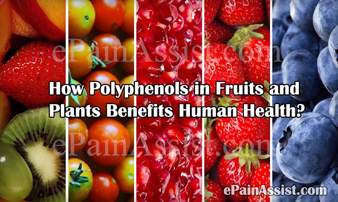 How Polyphenols in Fruits and Plants Benefits Human Health?