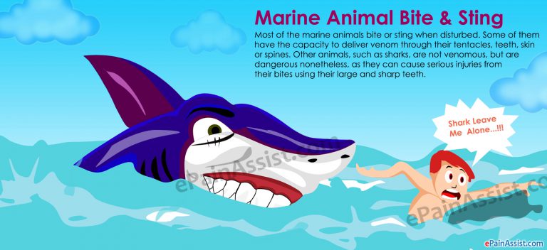 Marine Animal Bite & Sting
