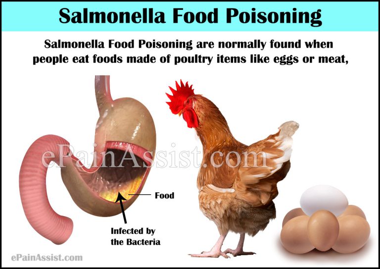Salmonella Food Poisoning: Causes, Symptoms, Treatment, Recovery Period