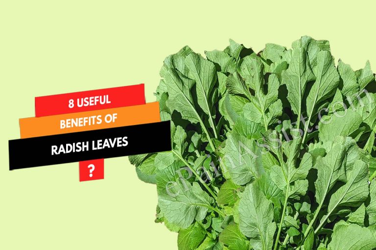 8 Useful Benefits of Radish Leaves (Mooli Ke Patte)