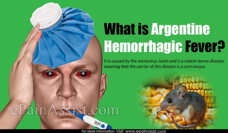 Argentine Hemorrhagic Fever: Causes, Symptoms, Treatment, Transmission, Mortality Rate