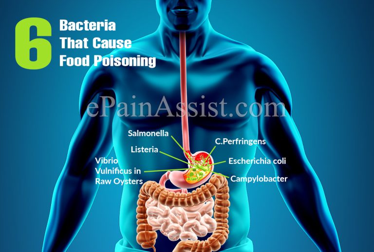 6 Bacteria That Cause Food Poisoning