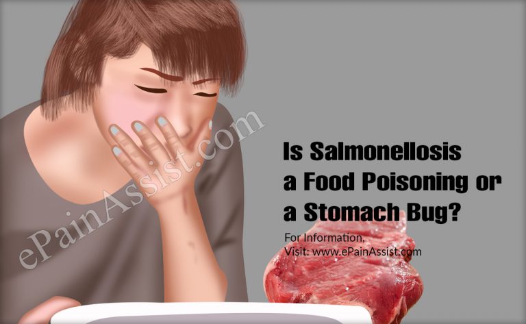 Is Salmonellosis a Food Poisoning or a Stomach Bug?|Prevention of Salmonellosis