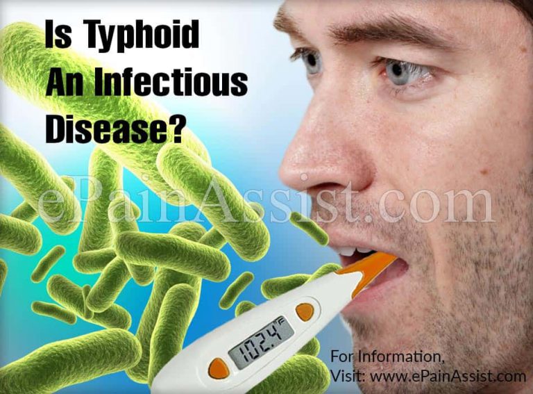 Is Typhoid An Infectious Disease & Which Organs Does Typhoid Affect?