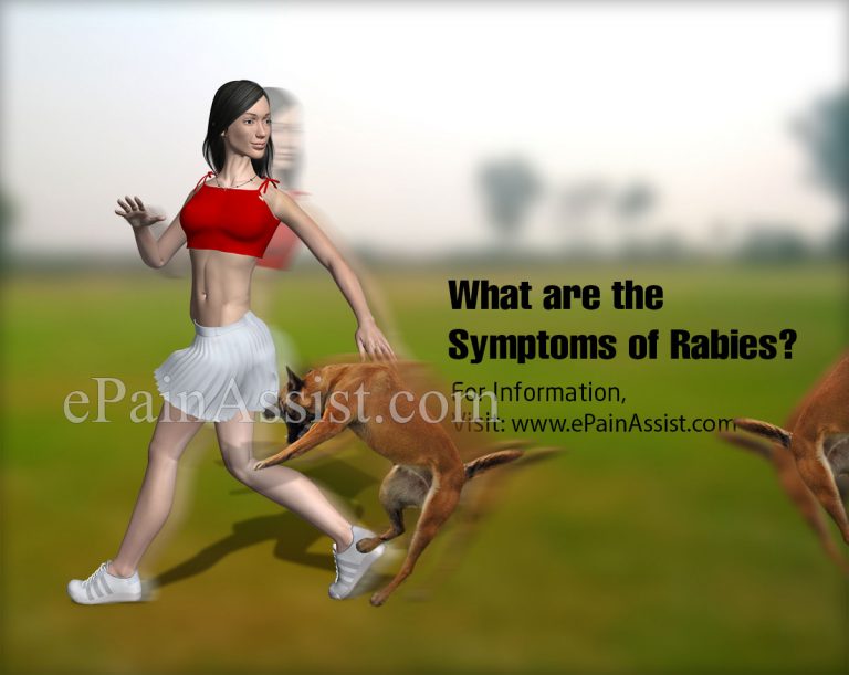 Rabies: Symptoms, Transmission, Types, Survival Rate|Why Is Rabies Vaccine Essential After A Dog Bite & What Are Its Side Effects?