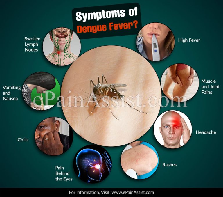 What is Dengue Fever: Cause, Treatment, Symptoms, Prognosis, Survival Rate, Prevention, Home Remedies Using Papaya Leaves