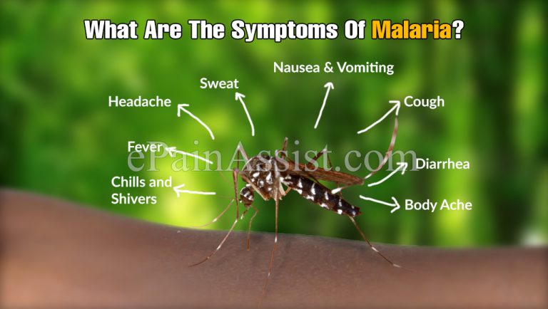 What Are The Signs And Symptoms Of Malaria?