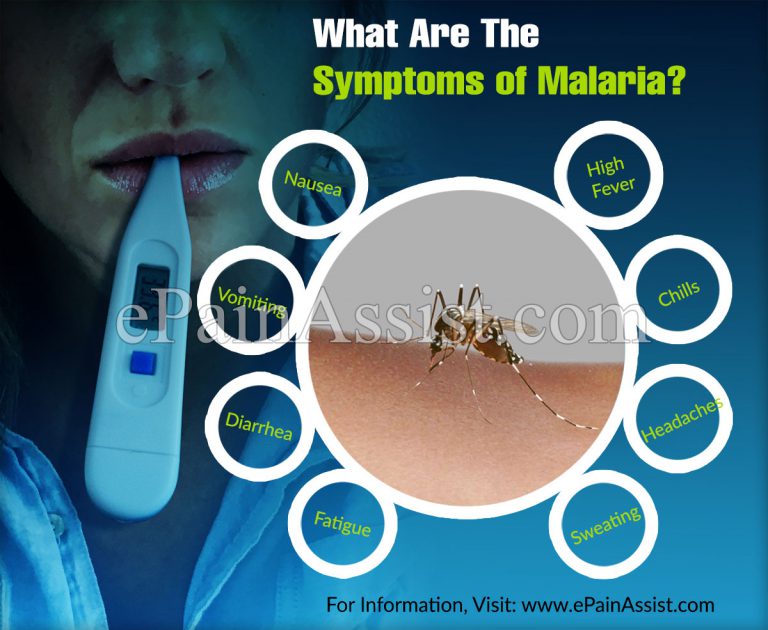 Is Malaria Contagious, Know the Incubation Period, Treatment, Recovery Period of Malaria?
