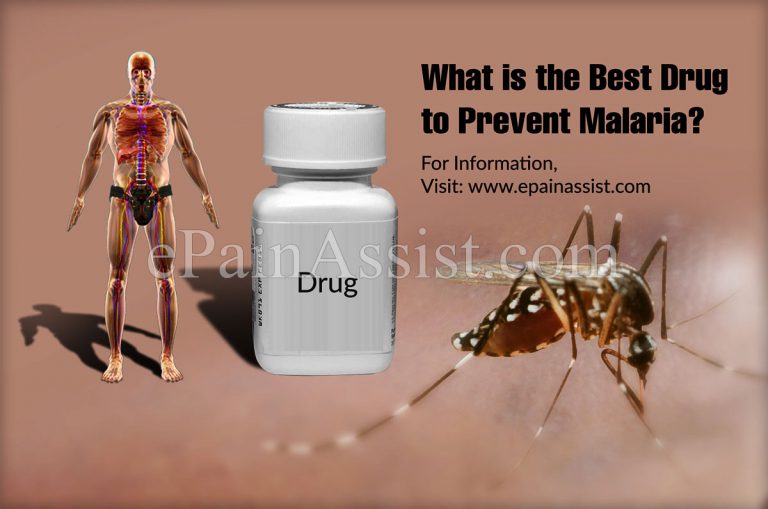 What is the Best Drug to Prevent Malaria?