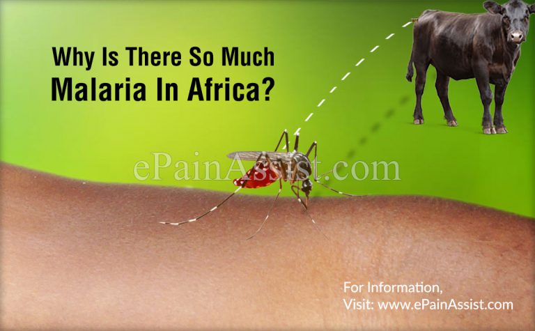 Why Is There So Much Malaria In Africa?