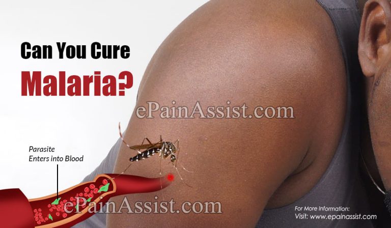 Can You Cure Malaria?