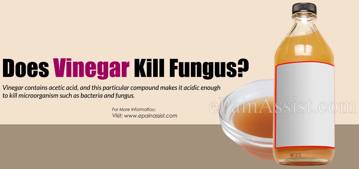 Does Vinegar Kill Fungus?