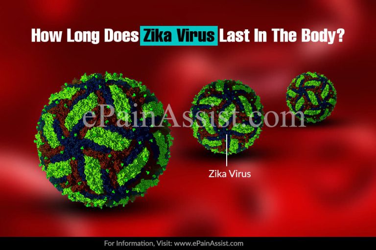How Long Does the Zika Virus Last in the Body & Transmission, Prevention of Zika Virus
