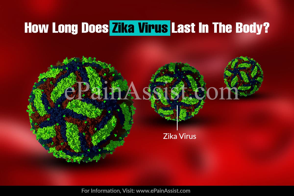 How Long Does Zika Virus Last In The Body?