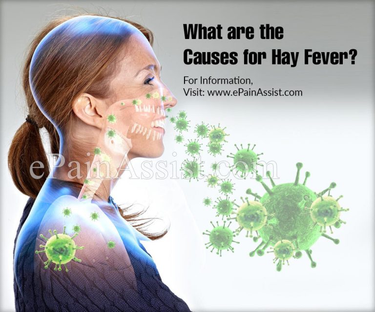 What are the Causes for Hay Fever & What Can Be Done About it?
